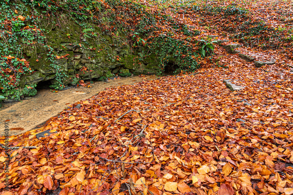 The spring marking the source of the River Churn at Seven Springs near the Cotswold village of Coberley, Gloucestershire, England UK - The furthest head water of the River Thames