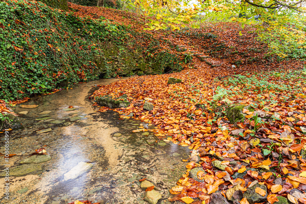 The spring marking the source of the River Churn at Seven Springs near the Cotswold village of Coberley, Gloucestershire, England UK - The furthest head water of the River Thames