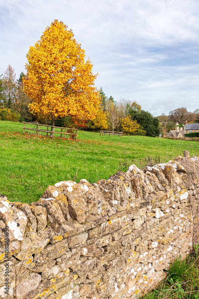 Autumn colours in the Cotswolds at the village of Lower Swell, Gloucestershire, England UK