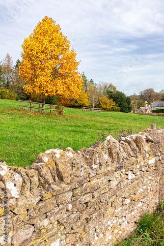 Autumn colours in the Cotswolds at the village of Lower Swell, Gloucestershire, England UK