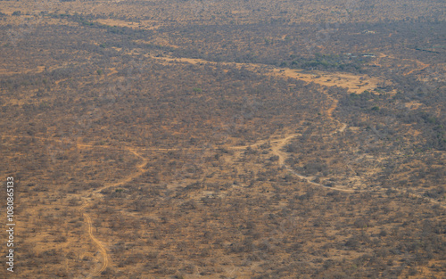 Obraz na płótnie Luftbild Landschaftsbild - Flora Botanik Busch im Krüger National Park - Kruger Nationalpark Südafrika w salonie