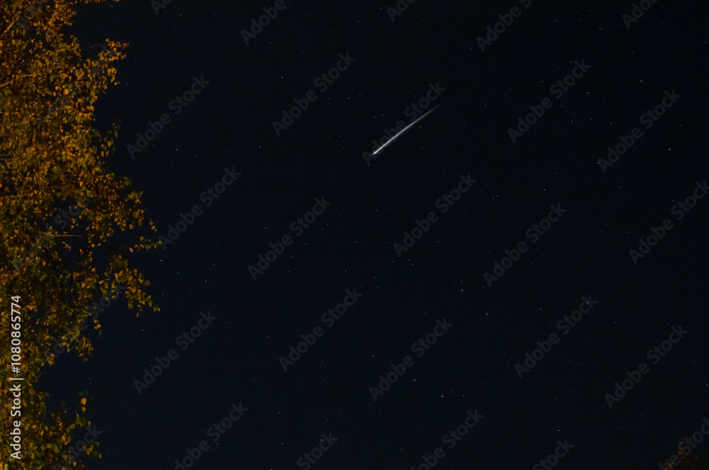 Astrofotografie, Sternenhimmel Aufnahme mit Sternschnuppe aus dem Krüger National Park