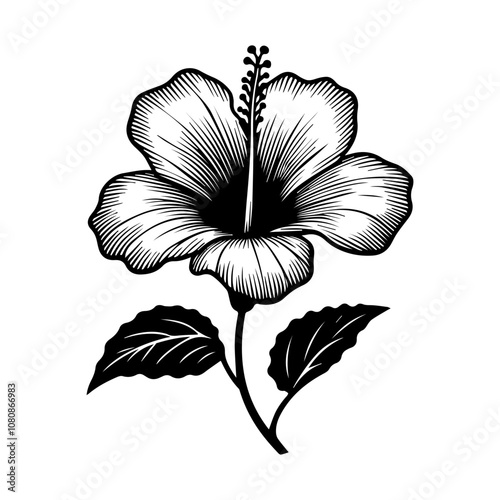 Simple Vector Icon of a Brazil hibiscus flower plant   – Logo Design Illustration