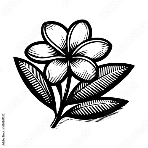 Simple Vector Icon of a Brazil plumeria flower plant – Logo Design Illustration