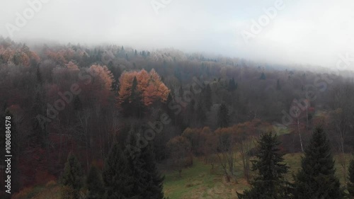 Nastrojowy, mglisty las w górach o poranku. Bieszczady, Podkarpacie, Ustrzyki Dolne, z drona photo