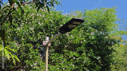 solar lamp