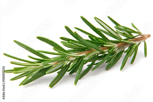 Fresh Green Rosemary Herb Sprig Isolated on White Background with Delicate Leafy Texture Highlighting Culinary and Medicinal Uses in Cooking and Aromatherapy