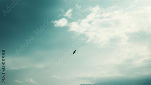 Bird in flight