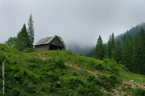 an old abandoned Hutsul barn on a hill, on the background of mountains in the...