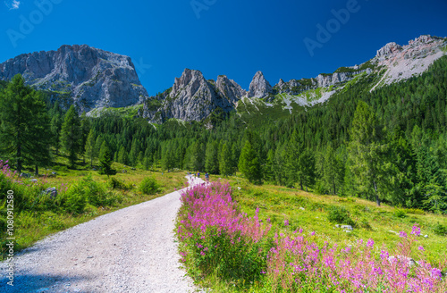 Wanderweg und Berge in den sommerlichen Alpen: Trogkofel, Rosskoffel, Zuckerhütl, Troghöhe, Zweikofel, Panorama, Sonnleitn, Nassfeld, Kärnten, Österreich