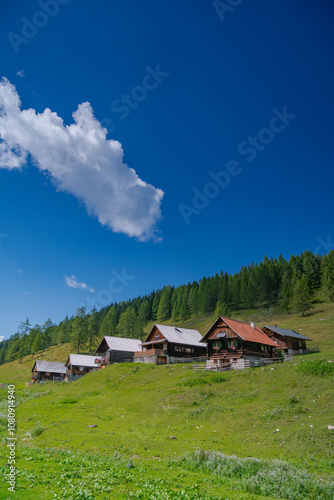 Idyllischer Anblick: Almhütten in den Alpen im Sommer