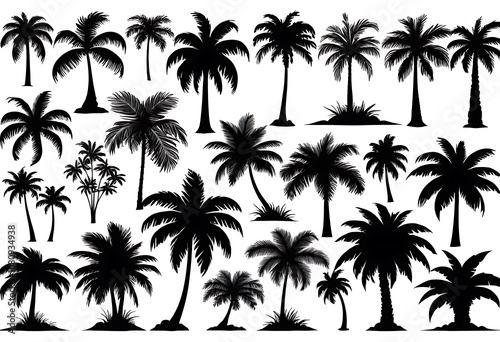 Palm trees silhouettes. Tropical leaves, retro palms tree and vintage silhouettes. Coconut palm, exotic lush sketch or hawaii coco palms. Vector illustration isolated icons set