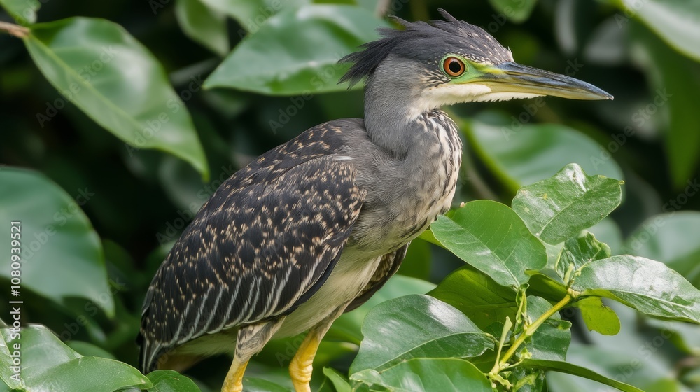 Obraz premium Black-headed bird with yellow feet perched on a branch, serene natural setting.