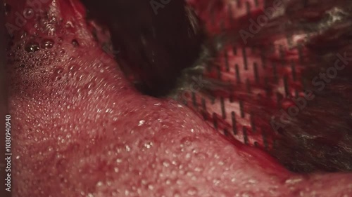 winemaking, blending red wine 