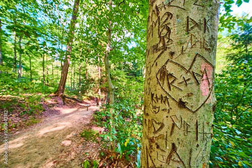 Fotografie Love Carvings on Forest Tree Along Woodland Path in Hocking Hills Eye-Level View