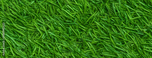 Green artificial grass as background, banner design