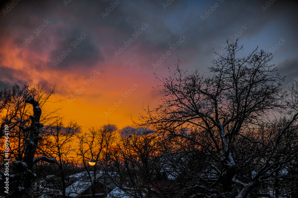 A sunset with trees in front and a statue in the back
