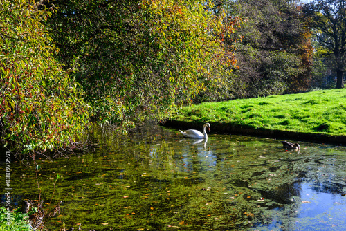 Autunno nel Parco a L'Aia, Den Haag, Paesi Bassi