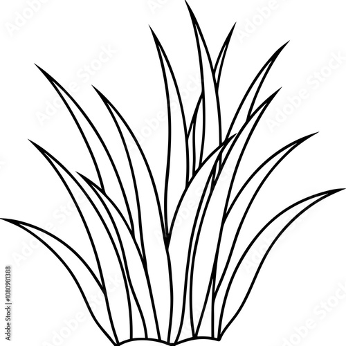 Grass vector illustration line art