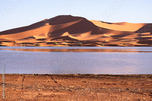 Landscape of Erg Chebbi dunes and their water reflection in the Yasmina lake at dusk. Merzouga. Sahara desert. Morocco. Africa. photo