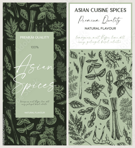 Asian spice label design. Basil, curry, calangal, cilantro, lime sketches. Herbs hand-drawn vector illustration. Vintage spice banner template. NOT AI generated