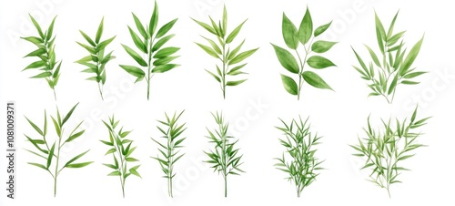 Green Watercolor Botanical Illustrations: A Collection of Twelve Diverse Leaves