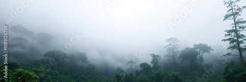 Misty cloudforest shrouded in fog with lush green vegetation and towering trees, Andes, tranquil
