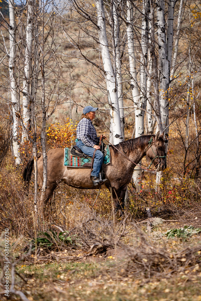 woman riding a quarter horse in the fall mountain forest woman riding a quarter horse in the fall mountain forest