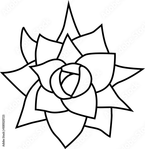 Aeonium mascaense view from top. Simple style vector illustration or icon. Succulent plant in black and white flat style. Useful for print and design