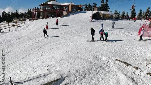 In Bursa Uludağ, people riding chairlift (teleski) on and ski among the pine trees. Uludağ is the most important ski resort in Turkey. 