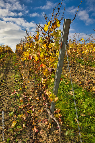 Wenberg bei sonnigem Herbstwetter