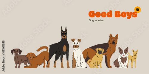 Cute dogs characters. Cartoon domestic puppies banner for dog shelter, funny hand drawn dog mascots different breeds and colors, furry kids pet stickers. Vector isolated set