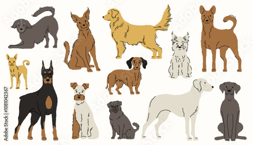 Dog breeds. Cute cartoon puppies, funny flat canines different breeds and colors, adorable pet companionship concept. Vector isolated set