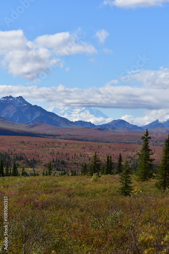 Autumn in Denali National Park