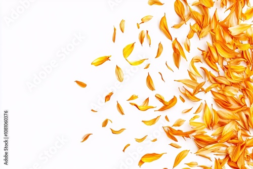 Golden Flower Petals Scattered on White Background - Floral Abstract Art