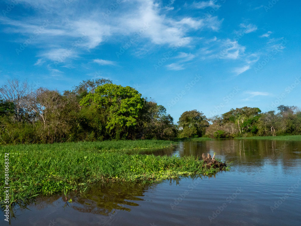 Amazon river landscape near the community of Anama. Amazon river landscape near the community of Anama.