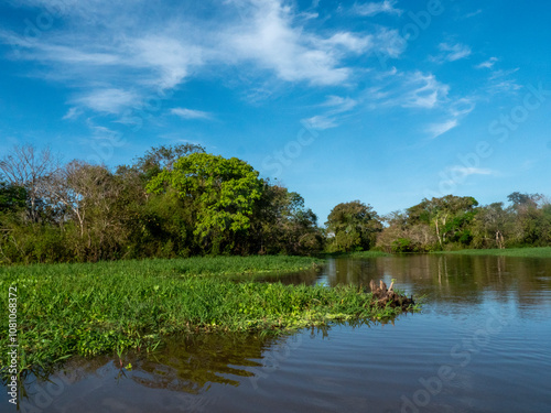 Amazon river landscape near the community of Anama.