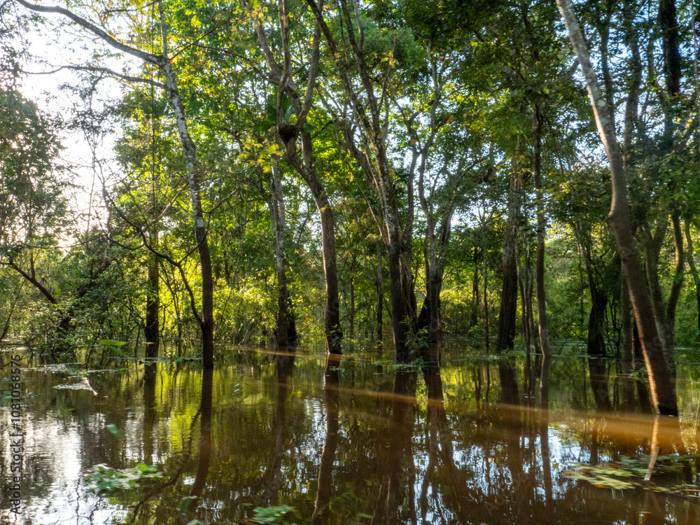 Tropical trees stand in the water of the Amazon and are reflected by the surface of the water.