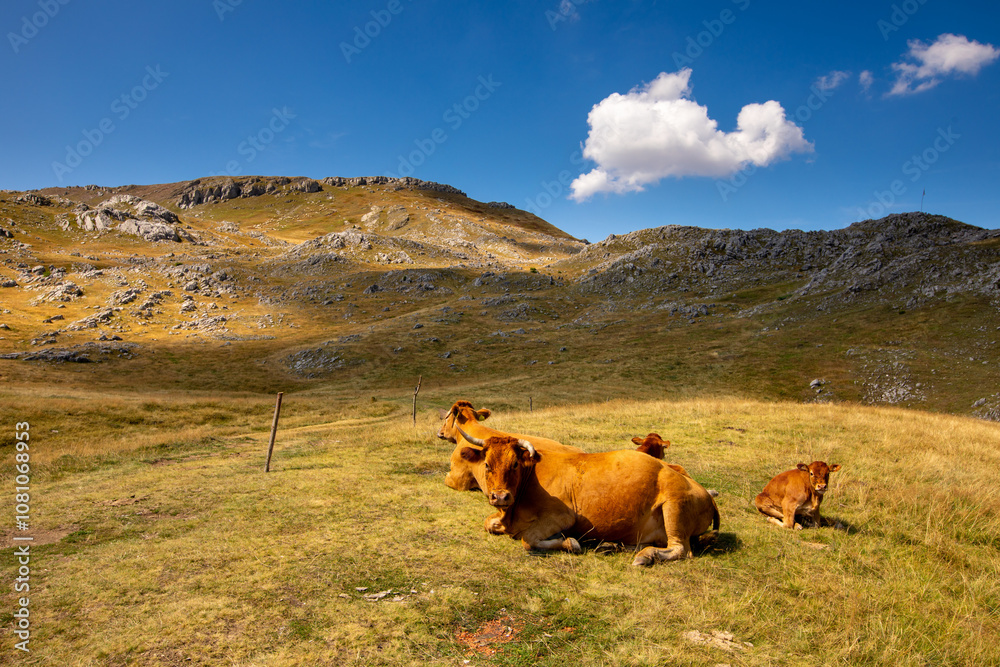 Fototapeta premium Visočica Mountain in Bosnia and Herzegovina