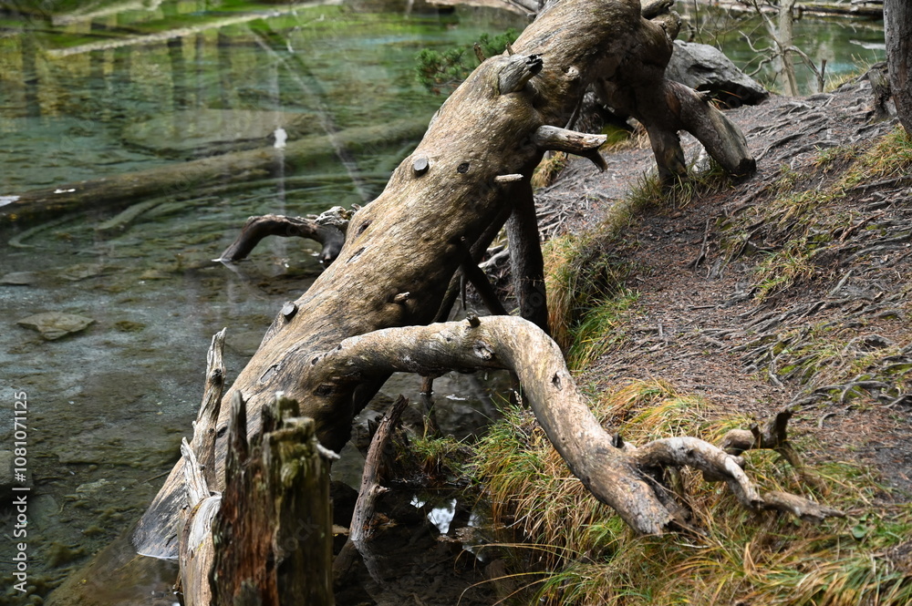 Lac Vert à Névache (05)