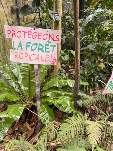 call for rainforest protection concept. Banner in colorful French language: Let us protect the tropical forest. Midst tropical plants and trees