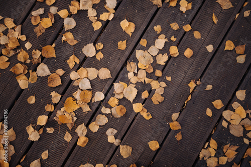 Yellow leaves on wooden floor in park