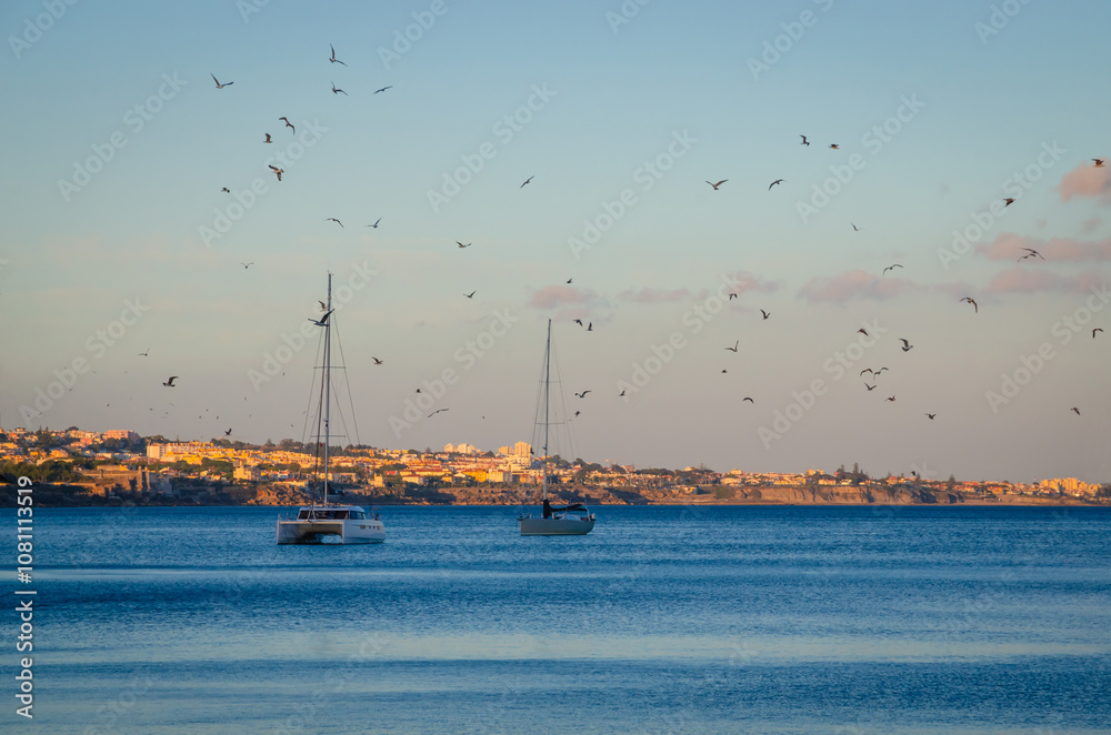 Colored fishing boats near coast of old town Cascais, Portugal, at sunset in summer day