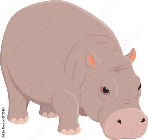 Hippo pygme eat drink character illustration design