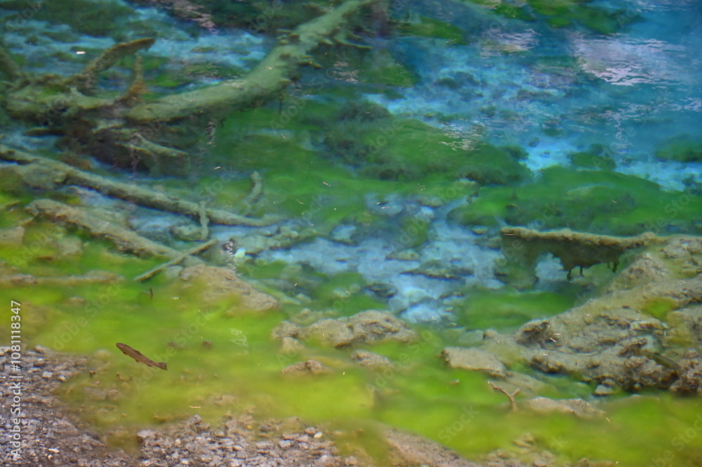 Naklejka premium Lac Vert à Névache (05)