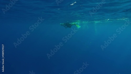Wallpaper Mural Snorkeler women in wetsuit with action camera in her hands swims on the surface of water in the vast expanses of blue ocean Torontodigital.ca