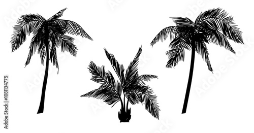 Watercolor black palm trees silhouettes, creation of palm tree designs, Coconut palm,  for banners, posters, holiday, nature, relaxation