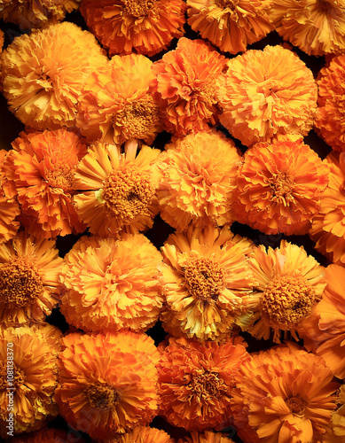 Fresh Marigold flower pattern texture background