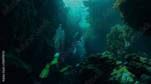 Wallpaper Mural The camera follows a group of scuba divers as they swims inside a beautiful coral canyon, Slow motion, Adventure and marine exploration concept, scubadivers exploring deeps of the Ocean Torontodigital.ca