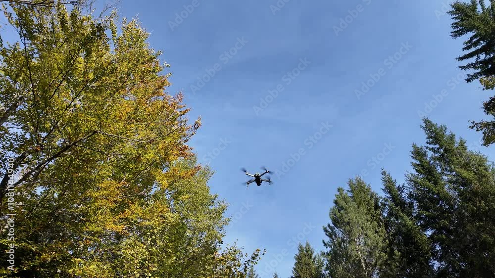 A drone flies above a forest with autumn foliage, symbolizing technology and exploration A drone flies above a forest with autumn foliage, symbolizing technology and exploration